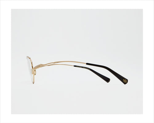 GASP Optique