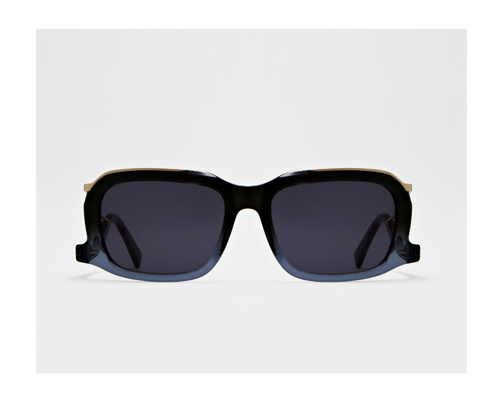 erplain_file_id:202798 - GINO