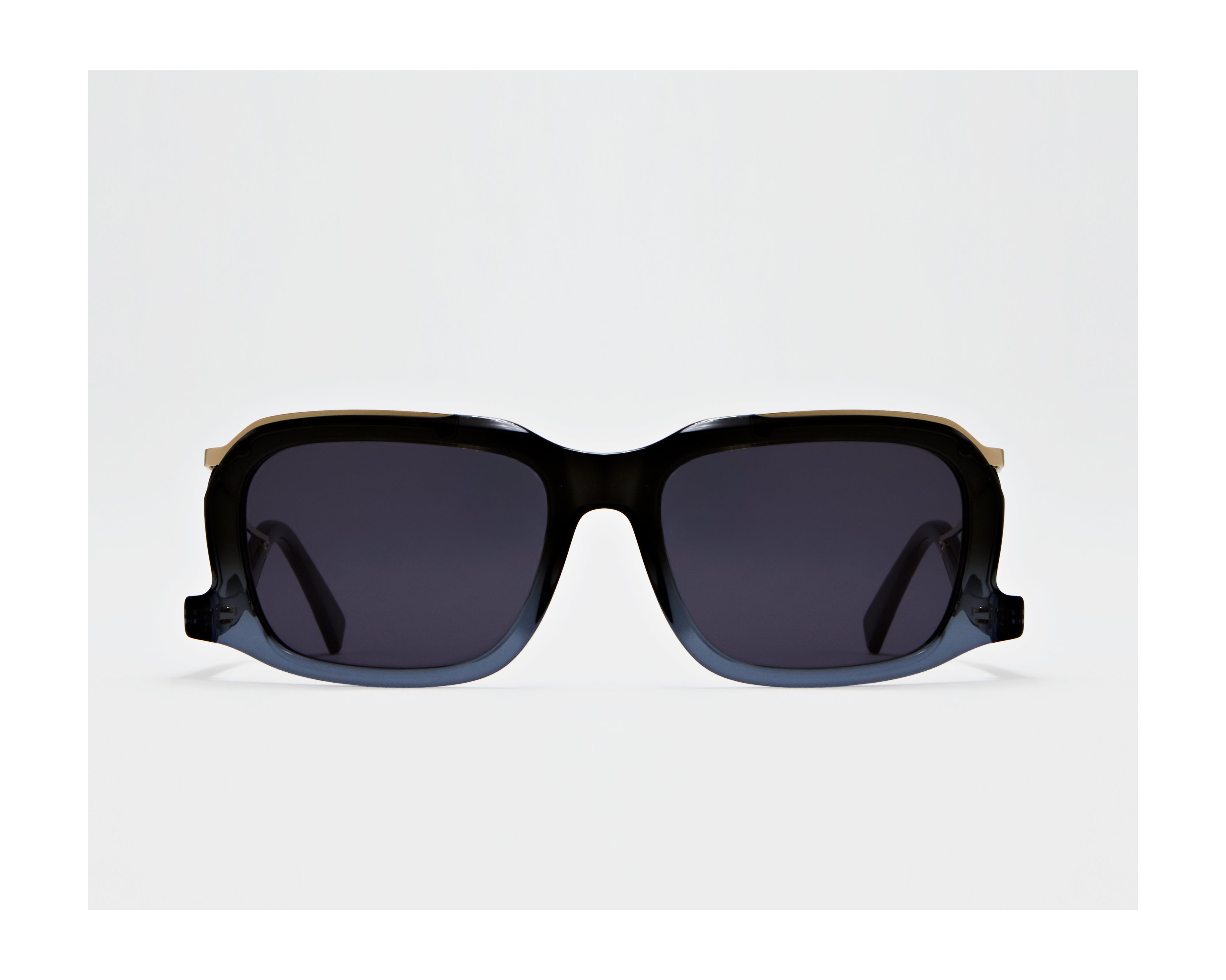 erplain_file_id:202798 - GINO