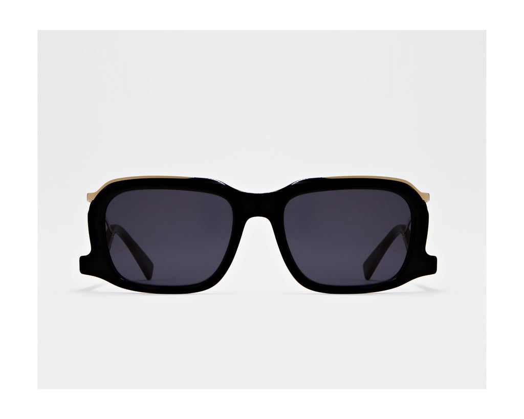 erplain_file_id:202796 - GINO