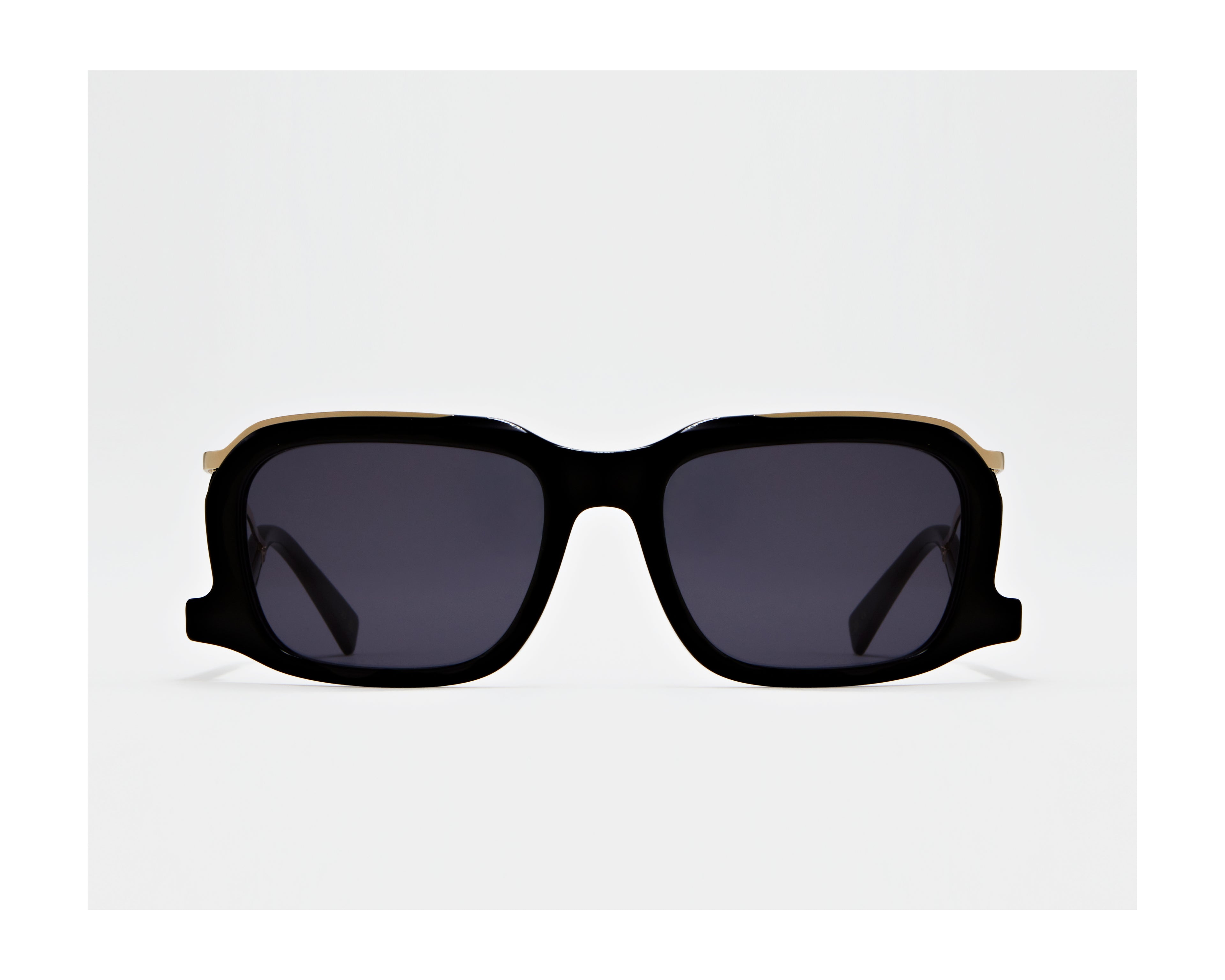 erplain_file_id:202796 - GINO