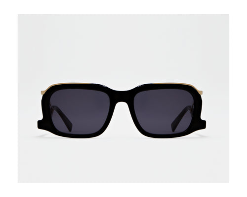 erplain_file_id:202796 - GINO