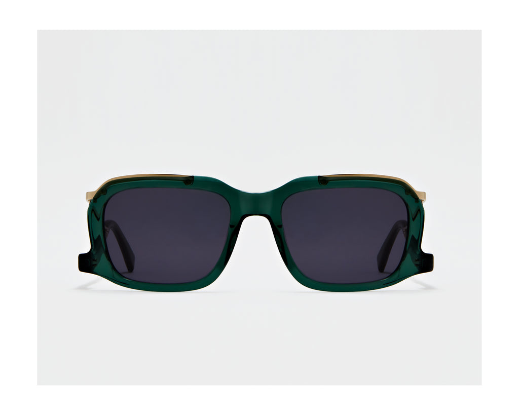 erplain_file_id:202799 - GINO