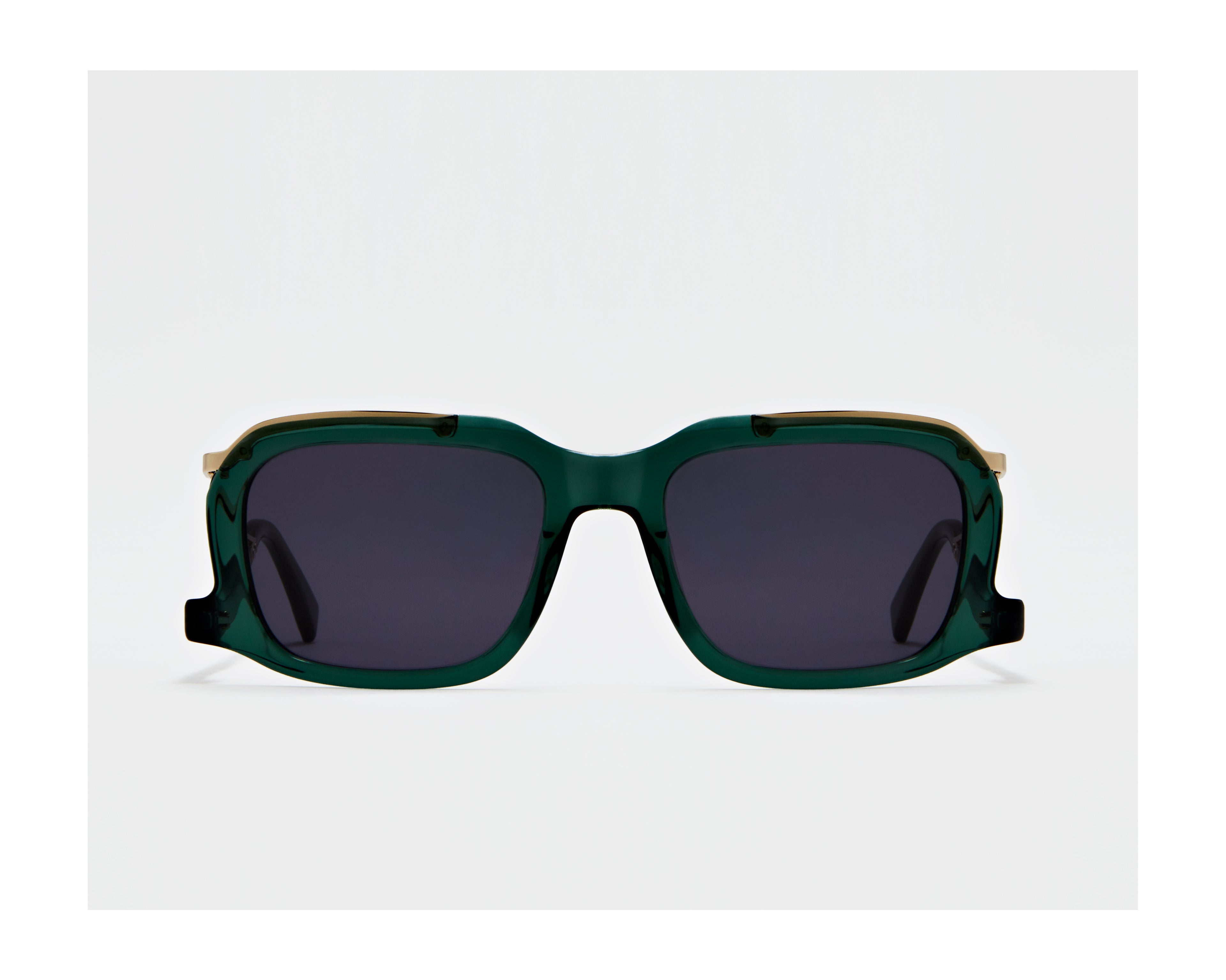erplain_file_id:202799 - GINO